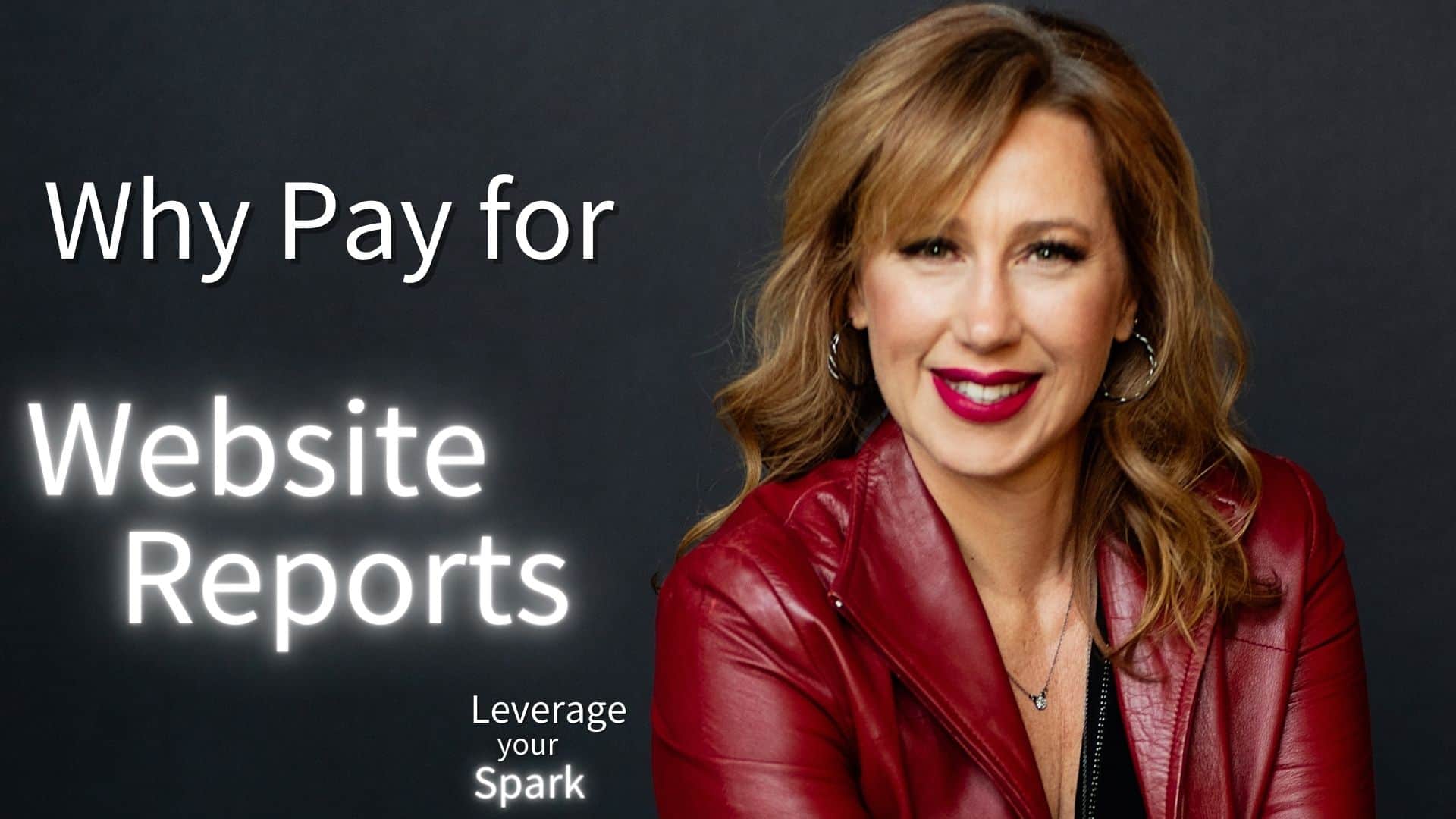 Why Would You Pay for Website Reports?