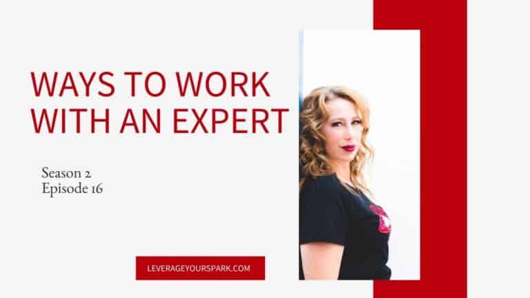 Ways to work with an expert